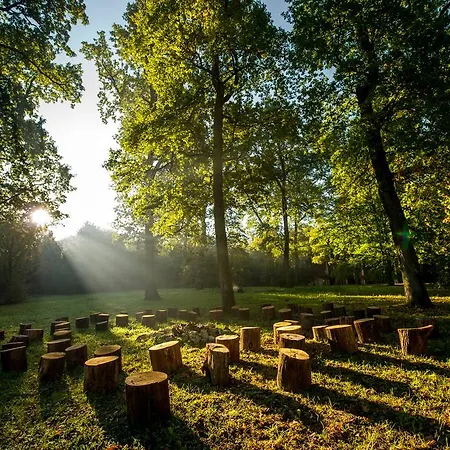 Hotel Drevny Grad Park-hotel