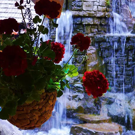 Drevny Grad Park-hotel Hotel