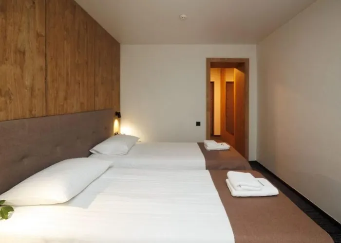 Drevny Grad Park-hotel 3*