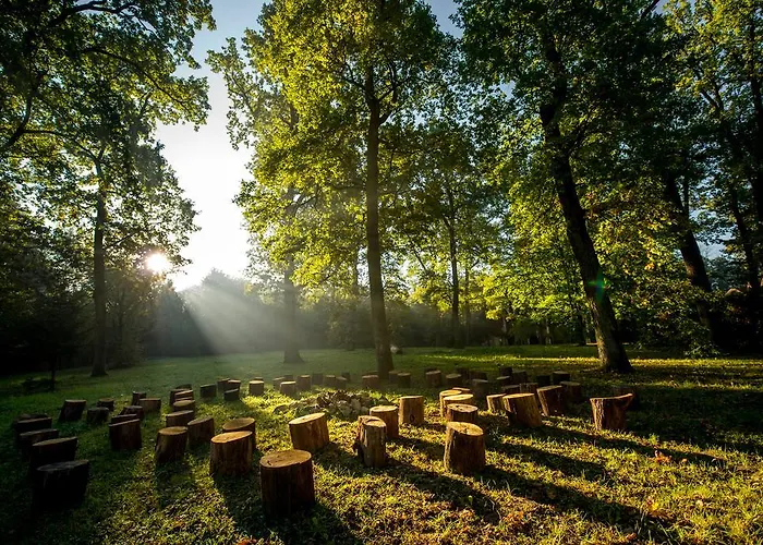 Hotel Drevny Grad Park-hotel